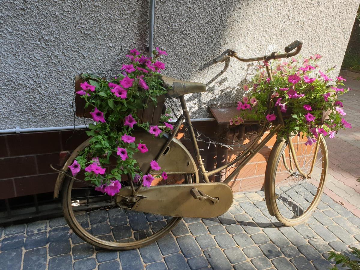 Aparthome Barbara 2 Stary Toruń エクステリア 写真